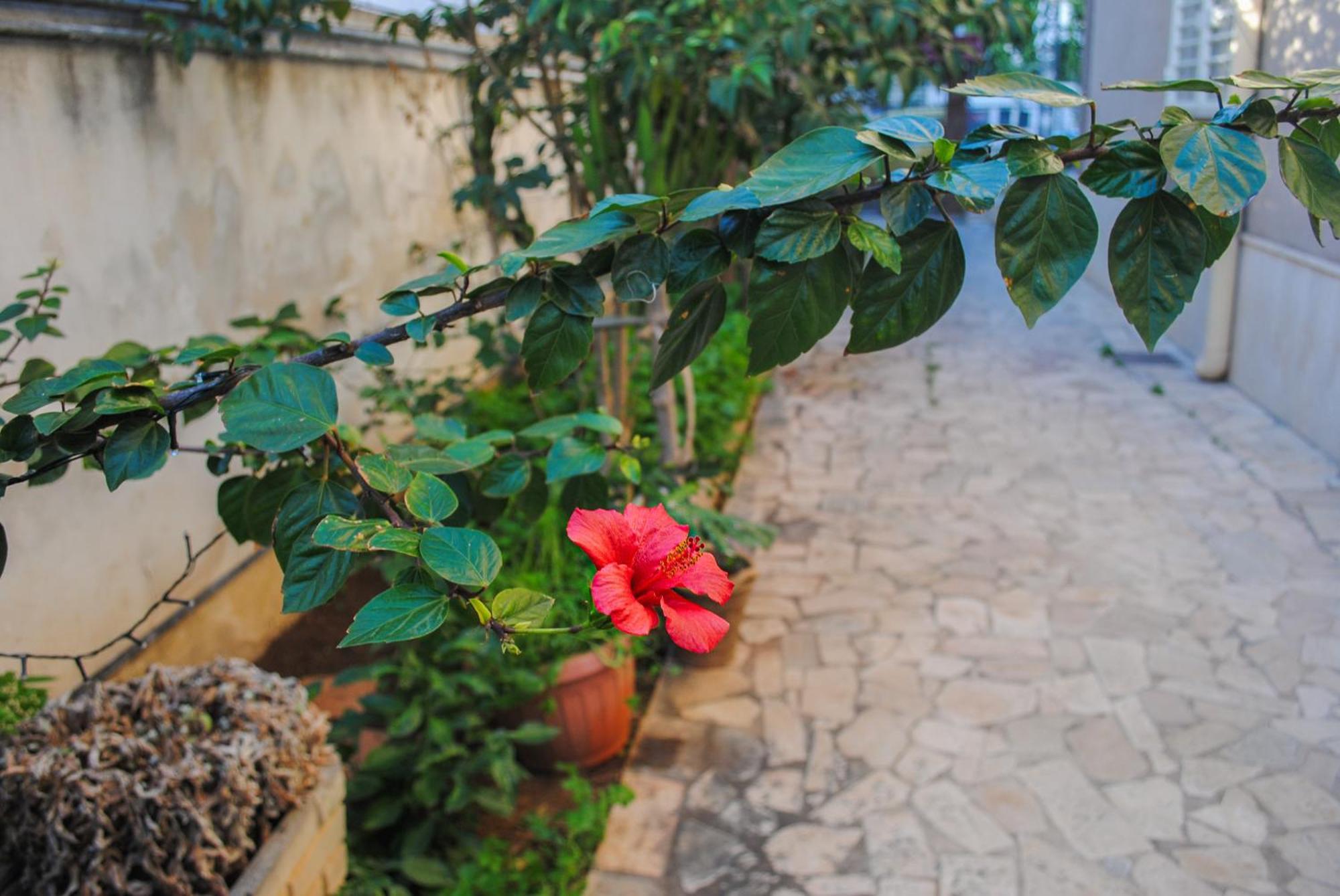 Villa Magnolia Con Giardino 巴里 外观 照片