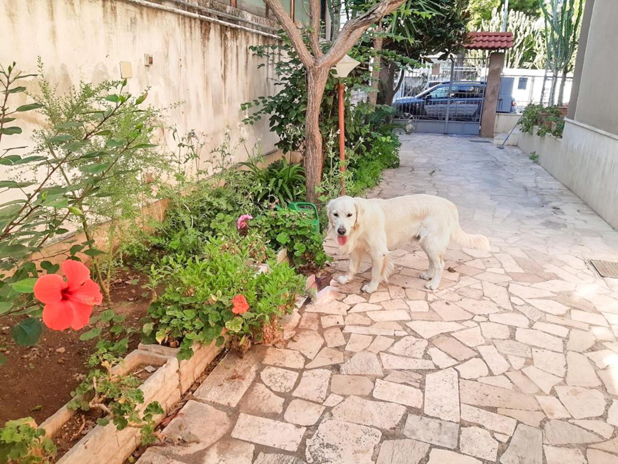 Villa Magnolia Con Giardino 巴里 外观 照片