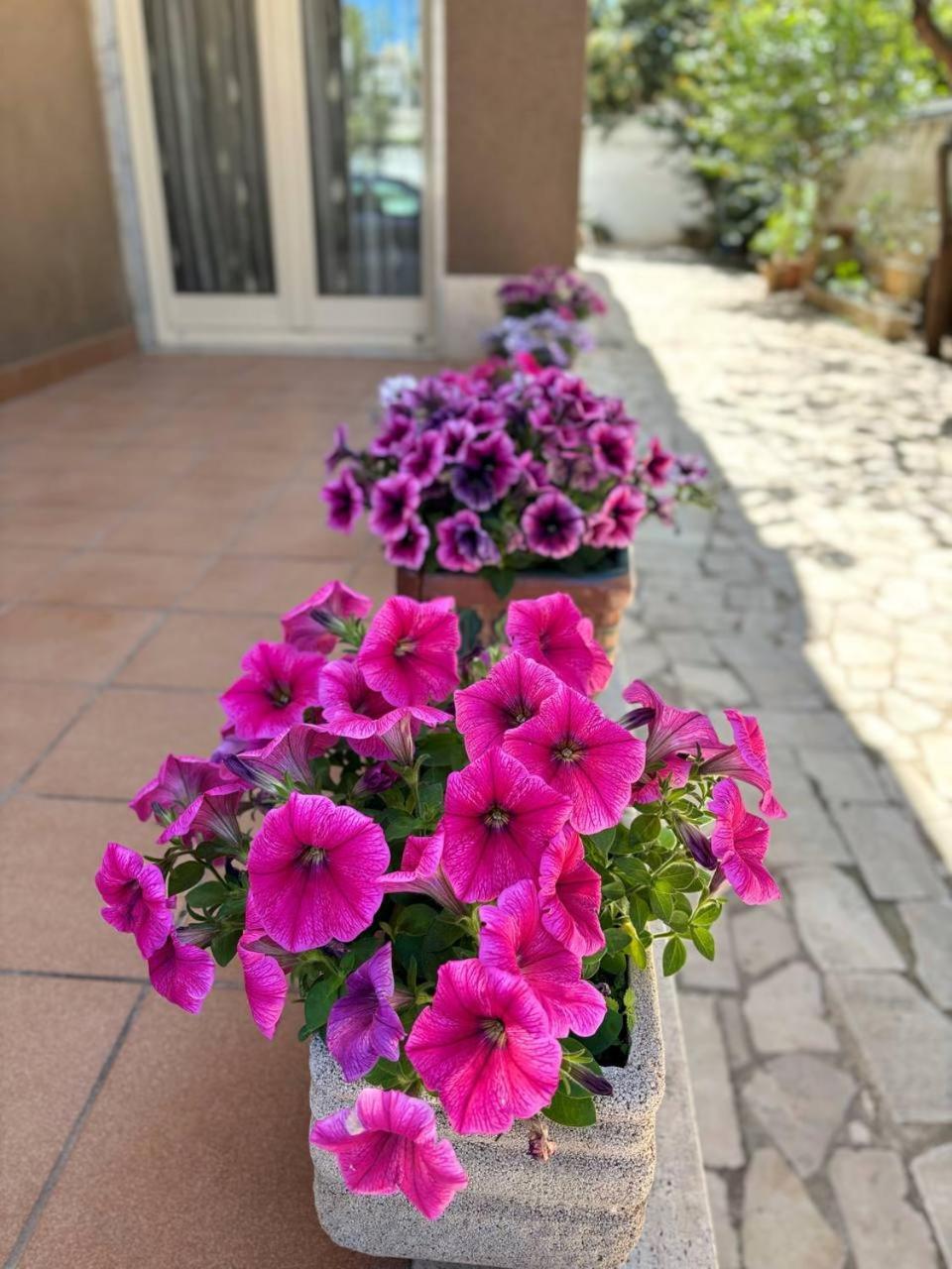 Villa Magnolia Con Giardino 巴里 外观 照片