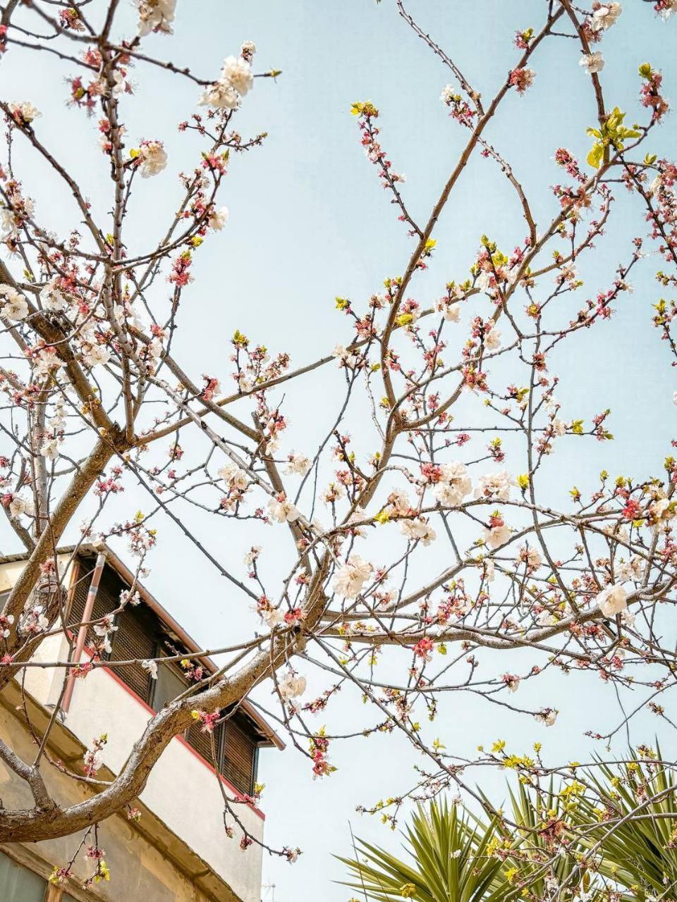 Villa Magnolia Con Giardino 巴里 外观 照片